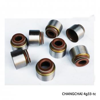 Changchai 4G33 Valve Oil Seal